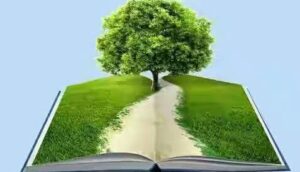 वन विभाग में पौधों को लगाने में खेल!