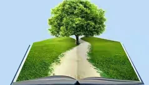 वन विभाग में पौधों को लगाने में खेल!