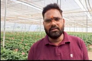 Polyhouse में जरबेरा फूलों की खेती करते किसान