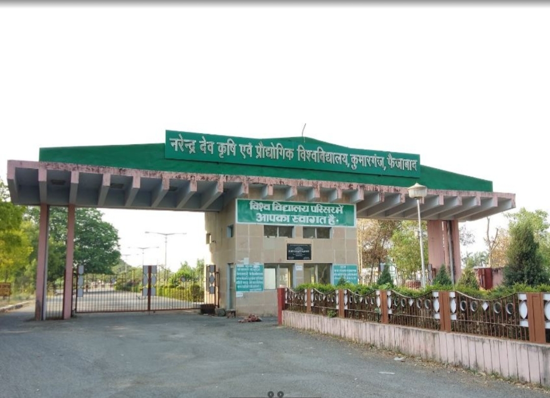 NDU University vice chancellor order cancel