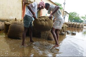 बारिश से बर्बाद फसल का निरीक्षण करते किसान