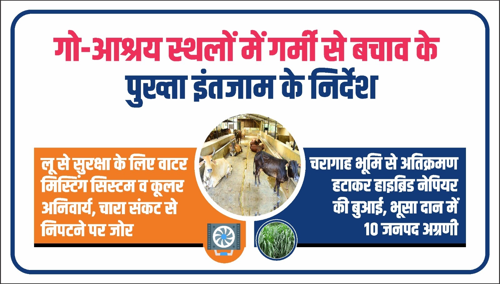 गो-आश्रय स्थल में गर्मी से बचाव के लिए लगाए गए कूलर और पानी की व्यवस्था