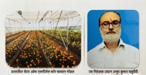 अयोध्या में प्रस्तावित फ्लावर सेंटर में फूलों की खेती करते किसान