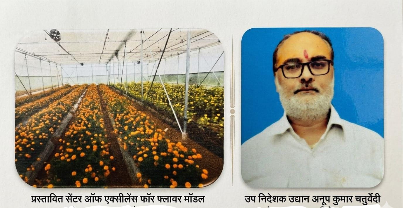 अयोध्या में प्रस्तावित फ्लावर सेंटर में फूलों की खेती करते किसान