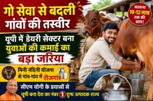 गांव में डेयरी फार्म में गायों की देखभाल करता युवा किसान