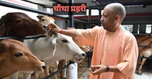 गौशाला में गौवंश को गुड रोटी खिलाते हुए सीएम योगी