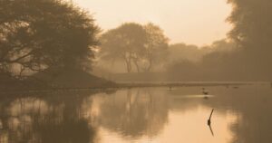उत्तर प्रदेश में स्वच्छ वायु प्रबंधन परियोजना और पर्यावरण संरक्षण अभियान का सांकेतिक दृश्य