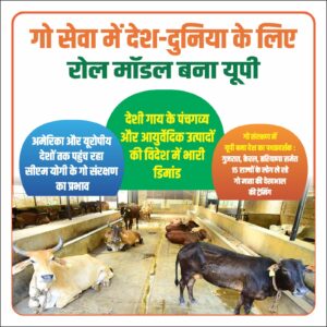 उत्तर प्रदेश की गोशाला में देसी गायों के बीच गो संरक्षण और गो-आधारित उत्पादों का उत्पादन
